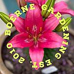 Boerne Gardening - @boerne_gardening Instagram Profile Photo