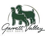 Garrett Valley Boer Goats - @garrettvalleyboergoats Instagram Profile Photo