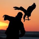 Gary Knight - @aquila.falcons.uk Instagram Profile Photo