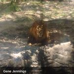 Gene Jennings - @gene.jennings.965 Instagram Profile Photo