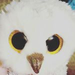 George Owlette - @george.owl Instagram Profile Photo