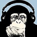 George Walling - @gsw.chimp Instagram Profile Photo