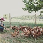 Gilbert Johnson - @farming_with_gil Instagram Profile Photo