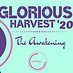 Glorious Harvest - @glorious_harvest Instagram Profile Photo