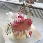 Grace Spence - @grace.bakes.cakes Instagram Profile Photo