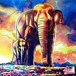 Elephant lover?????? - @gwendolynrosepearce Instagram Profile Photo