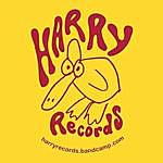 Harry Records - @harry.records Instagram Profile Photo