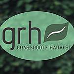 Grassroots Harvest - @grh_herbals Instagram Profile Photo