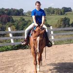 heather sheeley - @h_sheeleyquarterhorses64 Instagram Profile Photo