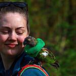 Henry Bird - @hen_the_hiking_parrot Instagram Profile Photo