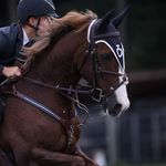 Henry Martin - @henry.martin.equestrian Instagram Profile Photo
