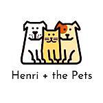 Henri + the Pets | Chihuahua in Kelowna - @henri_and_the_pets Instagram Profile Photo