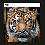 Didier Herbert - @didier.herbert.75 Instagram Profile Photo