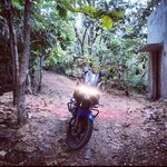 Harley Davidson - @abhirammundari92 Instagram Profile Photo