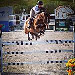 Holly Evans - @holly_evans_equestrian Instagram Profile Photo