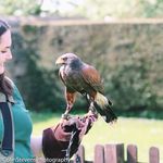 Holly Sanderson - @hollyaliceanimals Instagram Profile Photo