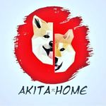 Akita Home Officiel - @akitahome Instagram Profile Photo