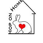 Hop On Home Rabbit Sanctuary - @hoponhomerabbit Instagram Profile Photo