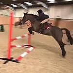 Isla Reid - @eventing_a_muffin Instagram Profile Photo