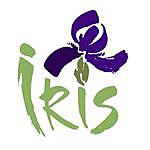 Bagni Iris - @iris_beach_bar Instagram Profile Photo