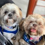 Jackee And Rylee - @jackeeandrylee Instagram Profile Photo