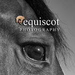 Jackie Scott - @equiscotphotography Instagram Profile Photo