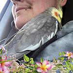 James Crosthwait - @houseful.of.pigeons Instagram Profile Photo