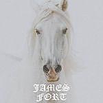 JAMES FORT - @_jamesfort_ Instagram Profile Photo