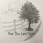 Jan Moore - @pear_tree_lane_farm Instagram Profile Photo