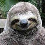jeffery??(dr. raper) - @hi_im_jeffery_the_sloth Instagram Profile Photo