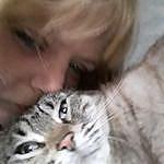 Jennifer Dewitt - @jenndewittfreeburg6615 Instagram Profile Photo