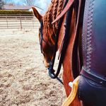 Jennifer VanderPloeg - @jennmarie_equestrian Instagram Profile Photo