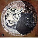 Jeremy Booker - @eastontony29 Instagram Profile Photo