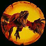 Jeremy Scoggins I Love Raptors - @0310_jeremy Instagram Profile Photo
