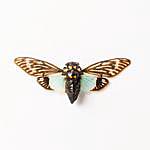 Jesse Emerson - @emerson.insect.design Instagram Profile Photo