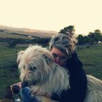 Jill Stephens - @hobbes_the_hound_ Instagram Profile Photo