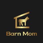 Jill Stubbs - @barnmomnc Instagram Profile Photo