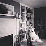 Joan Pauley - @joaniekpauley Instagram Profile Photo