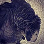 John Minor - @coziestkarma Instagram Profile Photo