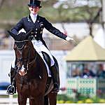 Judy Reynolds - @judy_reynolds_dressage Instagram Profile Photo