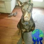 Judy Russell - @judy.russell.5891 Instagram Profile Photo