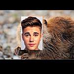 Justin Beaver - @justin.beaver_ Instagram Profile Photo