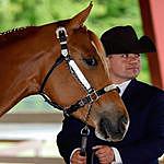 Justin Mattocks - @equestrianguy19 Instagram Profile Photo