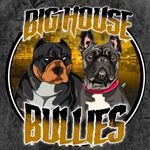 Justin Ratliff - @bighousebullies Instagram Profile Photo