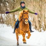 Karen Andersen - @horse.quality Instagram Profile Photo