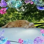 Kathy Felts - @kathy.felts.16 Instagram Profile Photo