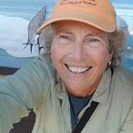 Kathy Horn - @bird_bug_lady Instagram Profile Photo