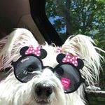 Kathy Linville - @healema Instagram Profile Photo