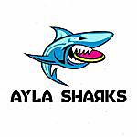 Ayla Sharks Frisbee Team - @aylasharksultimate Instagram Profile Photo