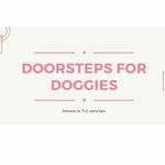Kaylee Bullard - @doorsteps.for.doggies Instagram Profile Photo